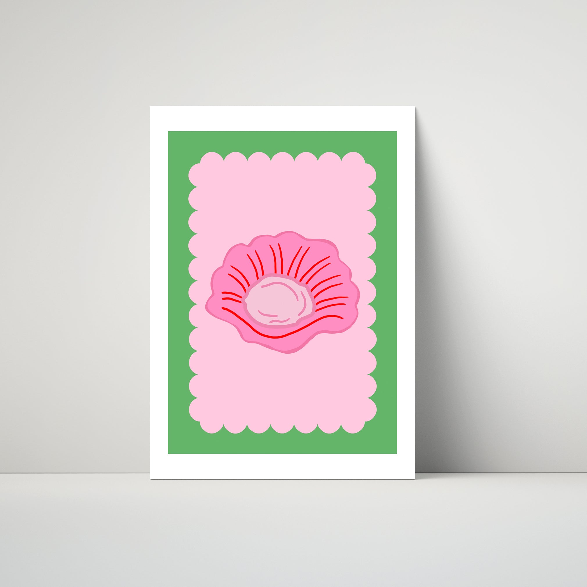 Clam Shell Scallop (More Colours)