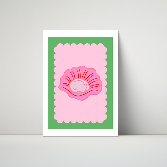 Clam Shell Scallop (More Colours)