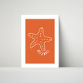 Starfish (more colours)